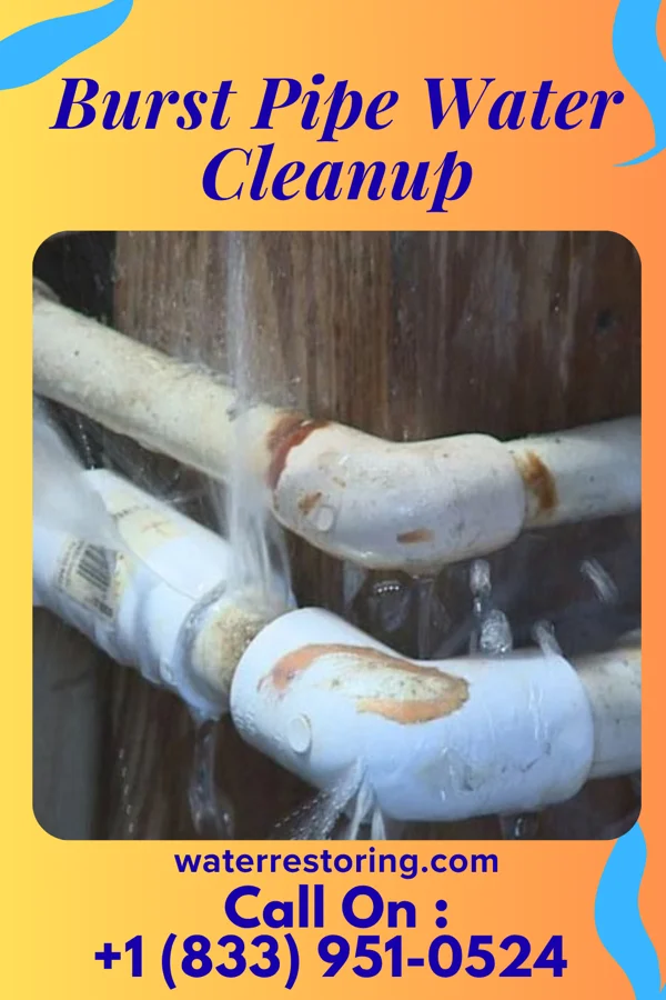 Burst Pipe Water Cleanup in Dunthorpe, OR